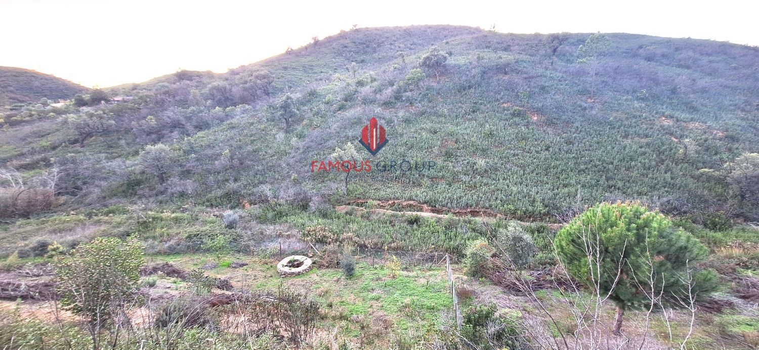 Terreno rural